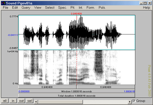 Praat software for voice evaluation